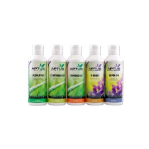 Indoor Set Basic 5 X Various Aptus