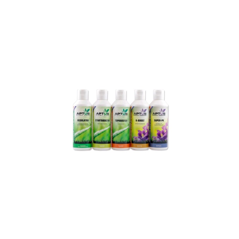 Indoor Set Basic 5 X Verschiedene Aptus