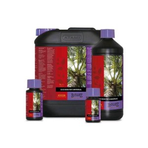 Atami B'cuzz Coco Booster Universal 5L Atami B'Cuzz ATA