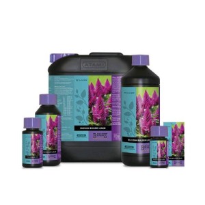 B'cuzz Blossom Builder 5 L Atami B'Cuzz ATA