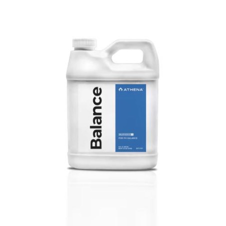 Pro Balance 4,53 Kg 10 Libbre Pro Line Athena