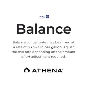 Pro Balance 11,33 Kg Pro Line Athena