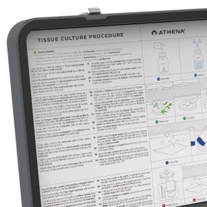Culture Line EU Kit de Cultivo de Tejidos 240V English Athena