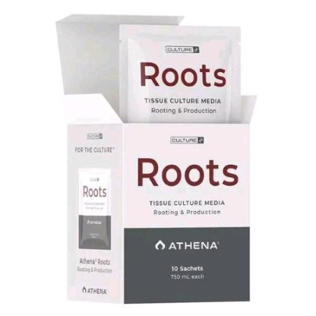 Culture Line Roots Culture Media (PAQUET DE 10, 750 ml) Athena