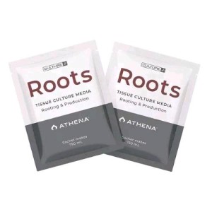 Culture Line Roots Culture Media (PAKET MIT 10, 750 ml) Athena