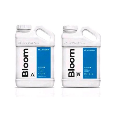Bloom 18,92 L 5 Gallone Bottiglie A e B Blended Line Athena