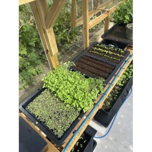 TRAY2GROW AutoPot