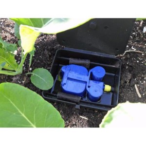 Aqua Box Straight AutoPot