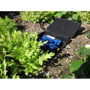 Aqua Box Straight AutoPot
