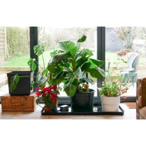 EASY2GO Kit + Auto Irrigation Valve AutoPot