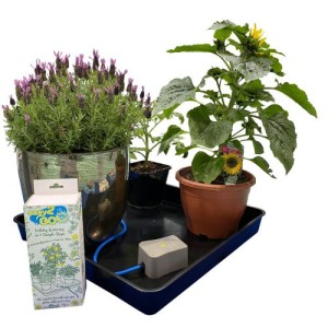 EASY2GO Kit + Auto Irrigation Valve AutoPot