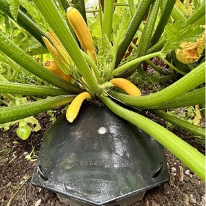 Aqua Box Spyder AutoPot
