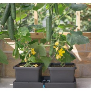Modulo Espansione EASY2GROW con 2 Vasi e Sottovasi più il Kit Accessori AutoPot