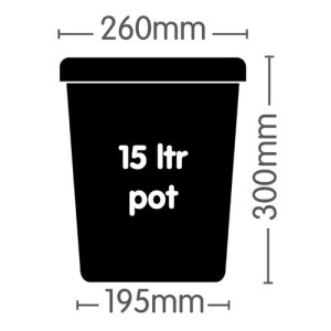 1 Pot System Topf 15 l Schwarz AutoPot