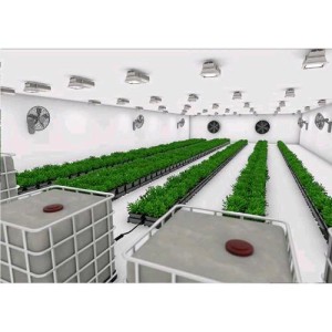 EASY2GROW Kit 20 Vasi Senza Tanica AutoPot