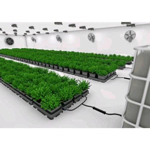 EASY2GROW Kit 16 Töpfe Ohne Tank AutoPot