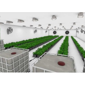 Kit 6 Vasi con Tanica EASY2GROW AutoPot