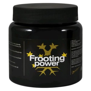 Frooting Power 325GR B.A.C.