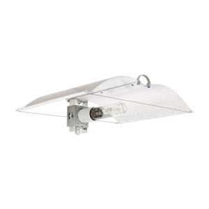 Enforcer Small Adjust-A-Wings