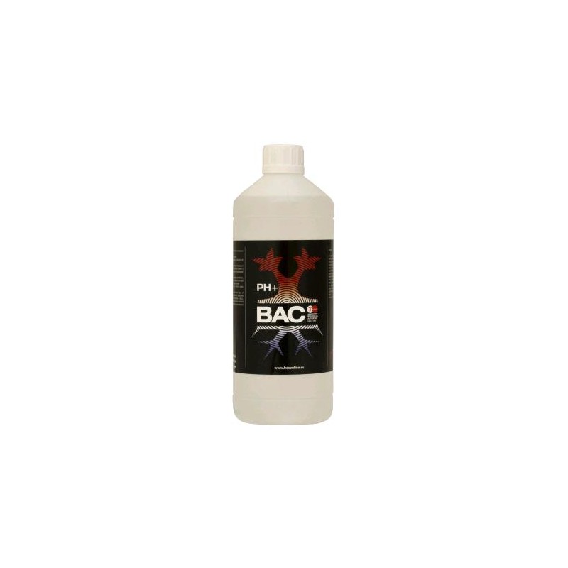 pH UP 1 L B.A.C.