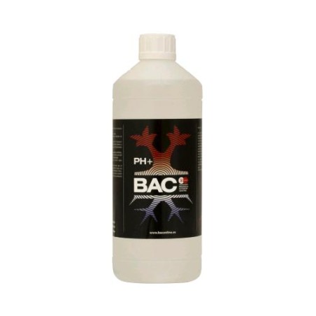 pH UP 1 L B.A.C.