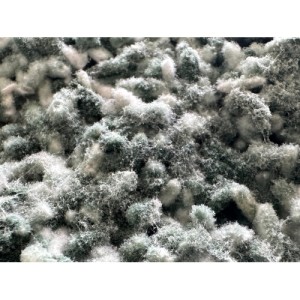 Living Soil 220 gr Bionova