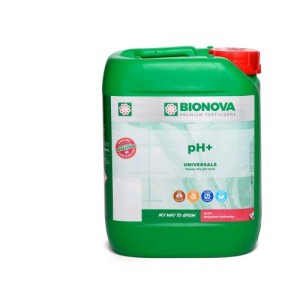 pH + Aumento del pH 5 L Bionova