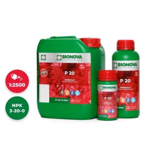 P 20 Fosforo 20% 1 L Bionova