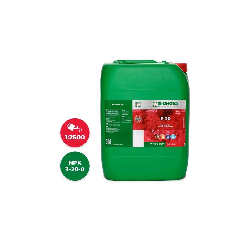 P 20 Fosforo 20% 20 L Bionova