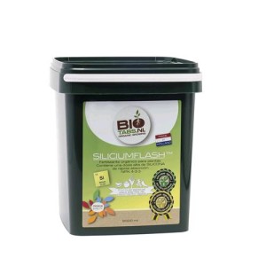 Silicium Flash 5 Kg Biotabs