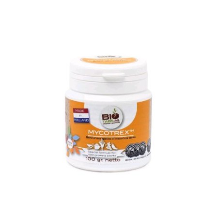 Mycotrex 100 gr Biotabs