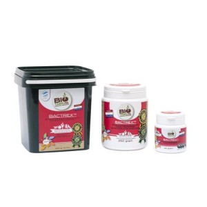 Bactrex 250 gr Biotabs
