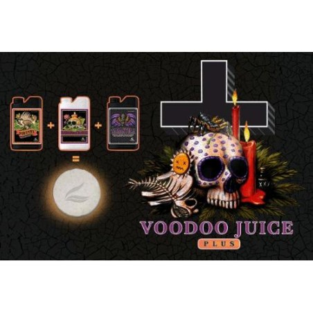 Voodoo Juice Plus 10 Comprimés Advanced nutrients