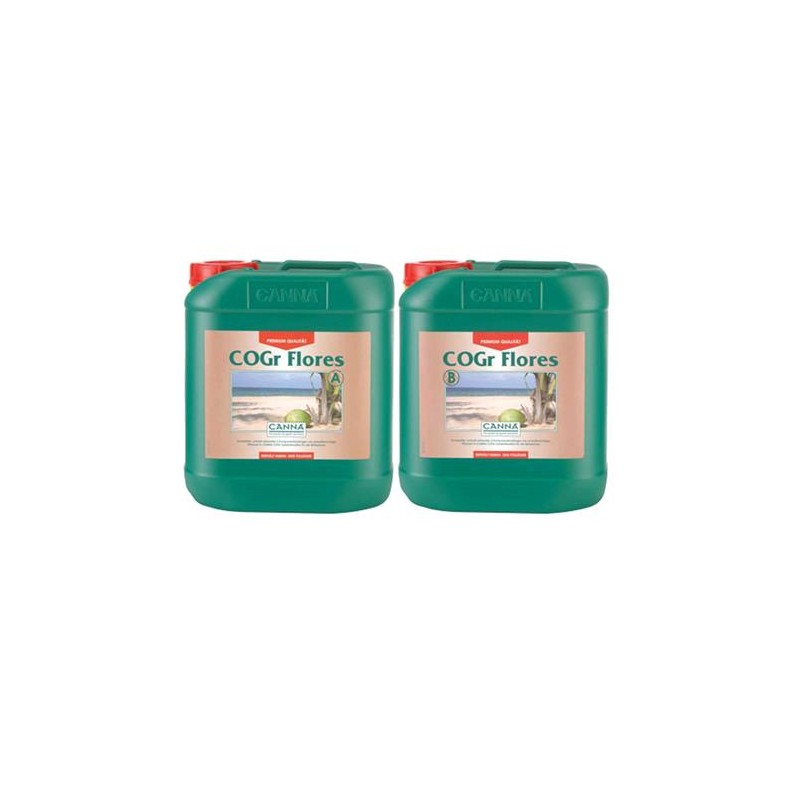Cogr Flores 5 L Bottiglie A e B Canna