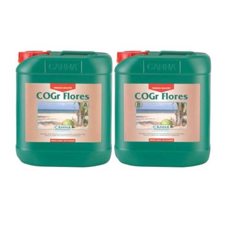 Cogr Flores 5 L Bottiglie A e B Canna