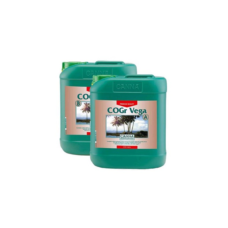 Cogr Vega 5 L Bottiglie A e B Canna