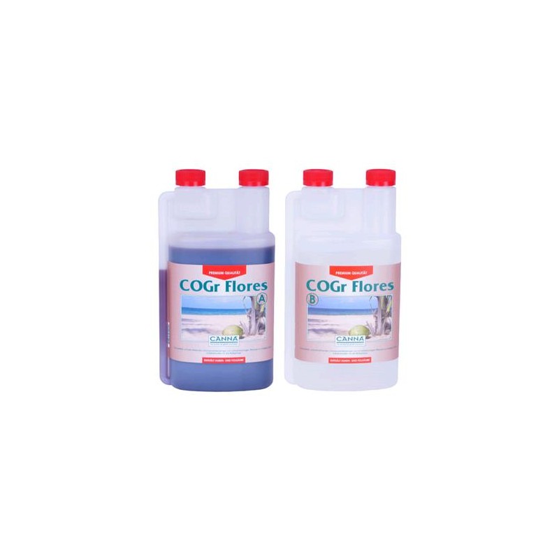 Cogr Flores 1 L Bottiglie A e B Canna
