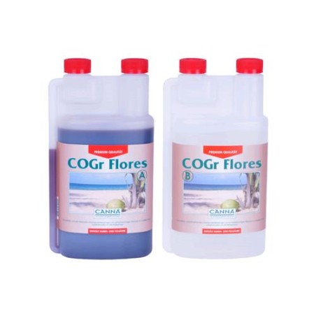 Cogr Flores 1 L Bottiglie A e B Canna