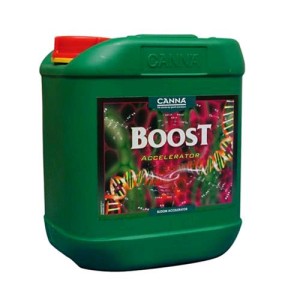 Boost Accelerator 5 L Canna