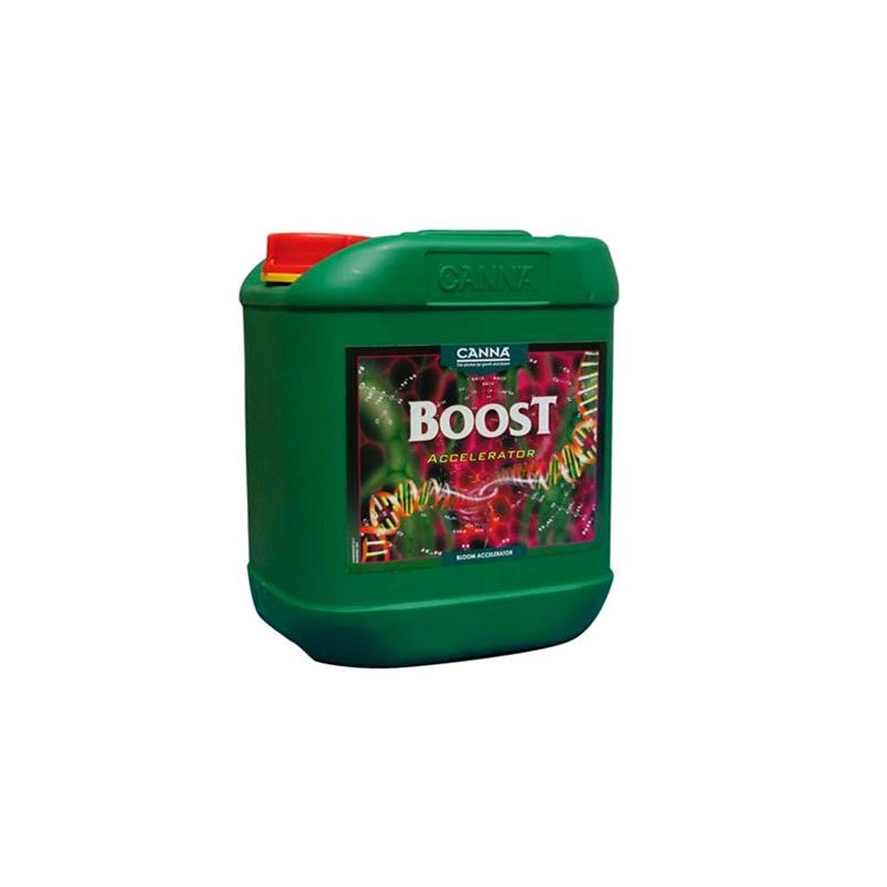 Boost Accelerator 5 L Canna
