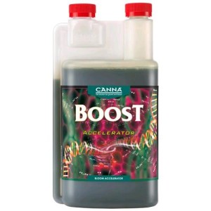 Boost Accelerator 1 L Canna