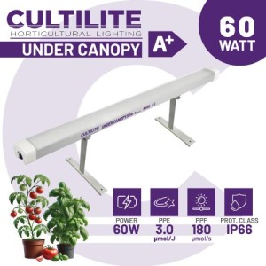 Under Canopy 60W 3.0 Cultilite