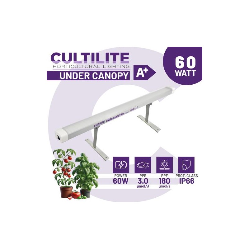Under Canopy 60 Watt 3.0 Cultilite