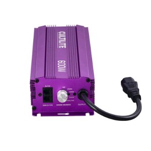 600 W Dimmable and Controllable Electronic Power Supply Cultilite