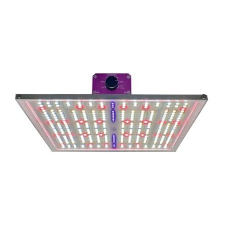 BY Nanolux Quantum Board 2.7 µmol/J Nebula Pro 150 Cultilite