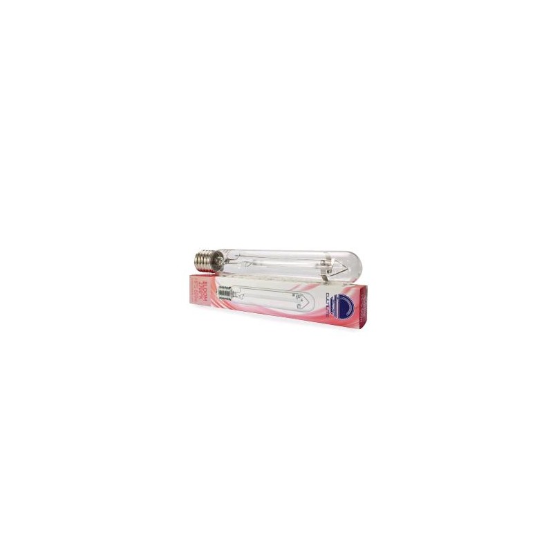 Ampoule HPS Bloom 600 W Cultilite