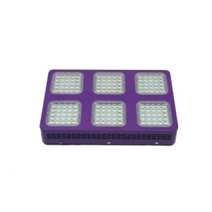 LED 450W Classic Line Cultilite