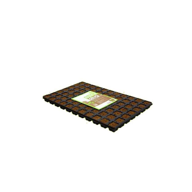 Vassoio 77 Cubi 3.5X3.5 cm Eazy Plug