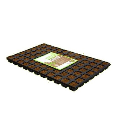 Vassoio 77 Cubi 3.5X3.5 cm Eazy Plug
