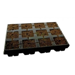 Tablett 12 Würfel 3.5 X 3.5cm Eazy Plug